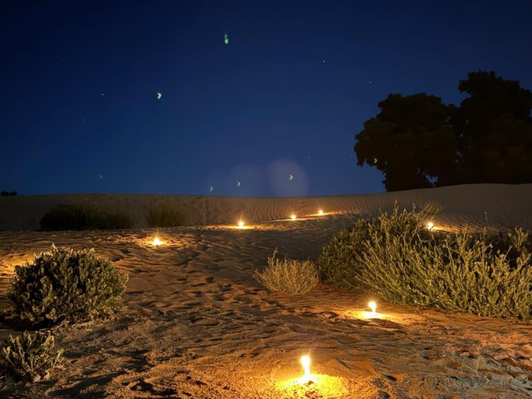 whatsapp image 2026 02 12 at 20.14.42