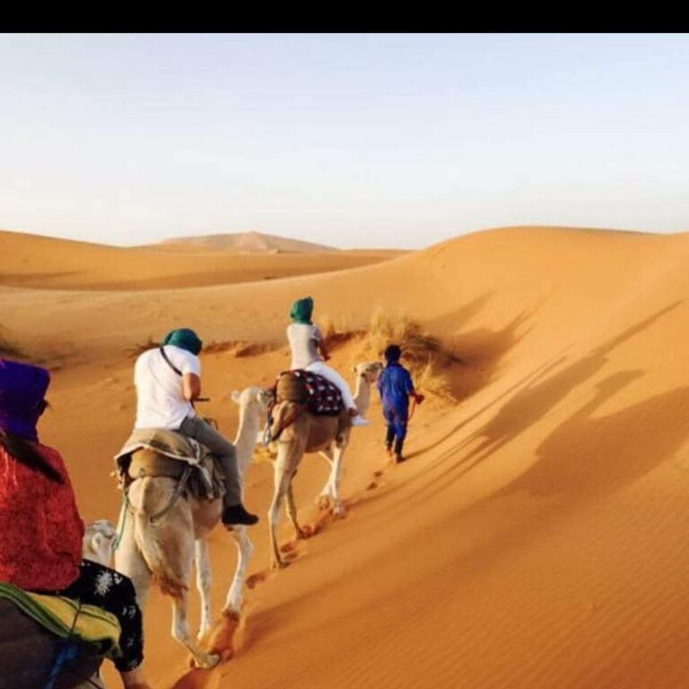 whatsapp image 2026 02 13 at 00.50.44