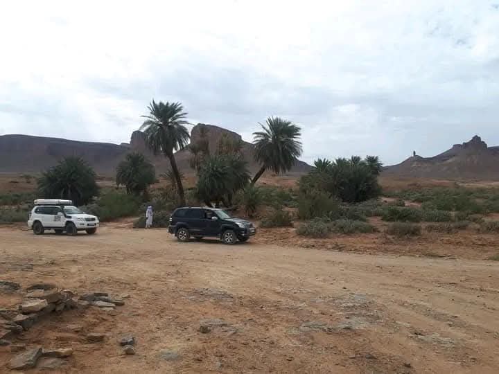 whatsapp image 2026 02 13 at 00.50.53 (1)