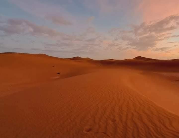 whatsapp image 2026 02 13 at 00.50.53 (2)