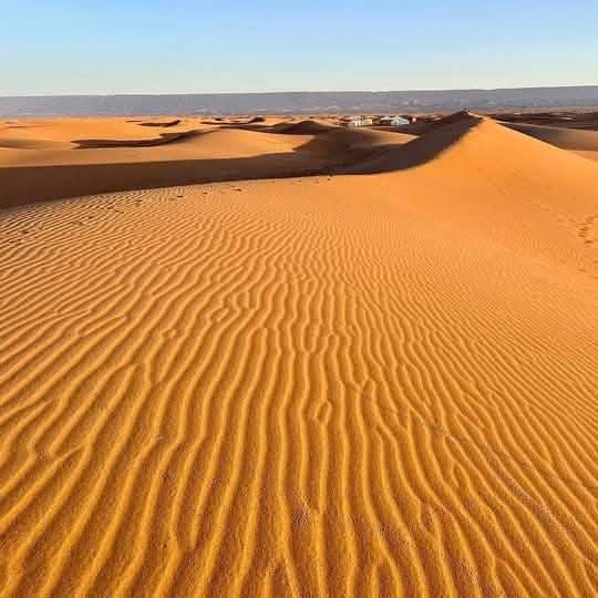 whatsapp image 2026 02 13 at 00.50.54