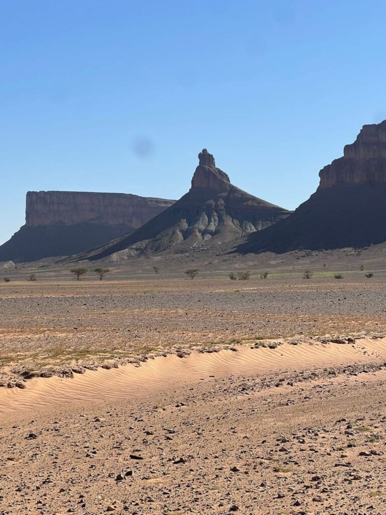 whatsapp image 2026 02 13 at 00.51.01