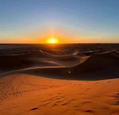 whatsapp image 2026 02 13 at 00.51.02 (1)