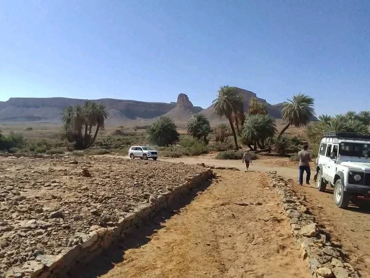 whatsapp image 2026 02 13 at 00.51.05 (1)