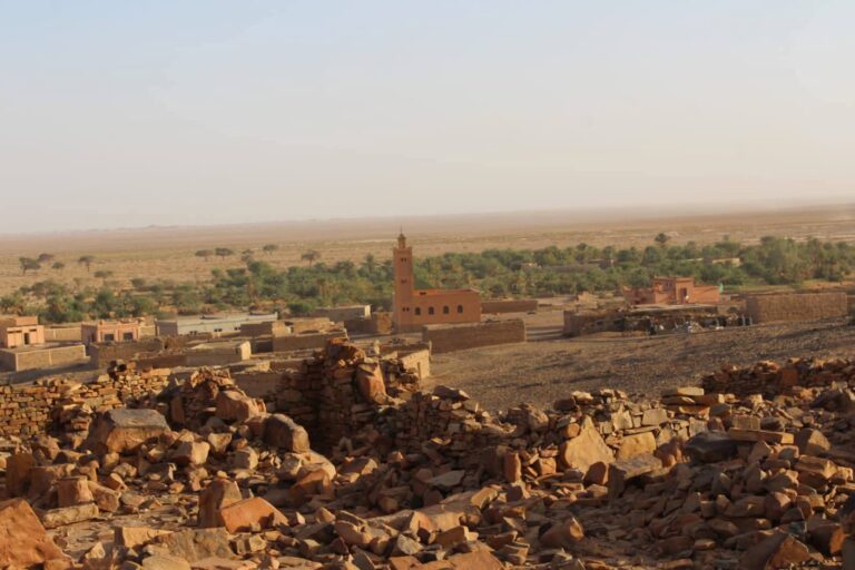 whatsapp image 2026 02 13 at 14.18.41