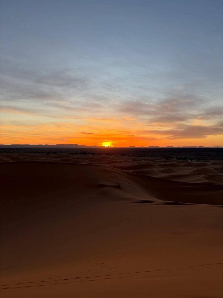 whatsapp image 2026 02 13 at 21.05.00 (1)