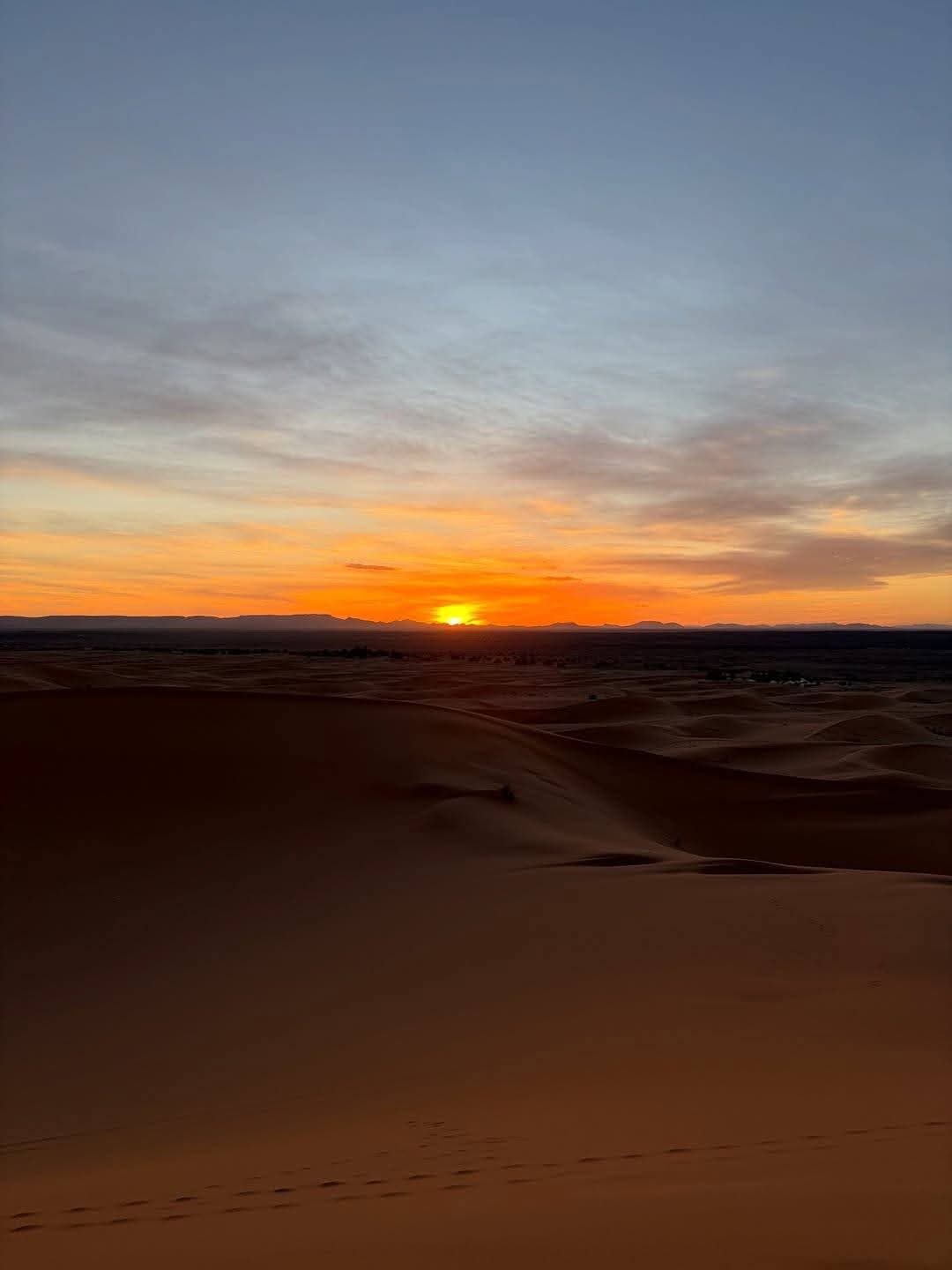 whatsapp image 2026 02 13 at 21.05.00 (1)