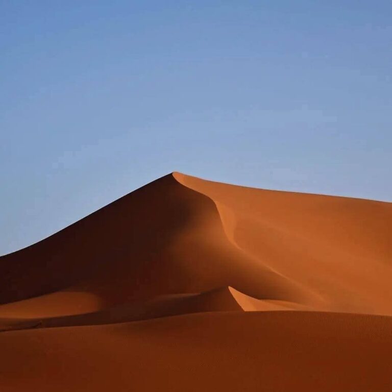 whatsapp image 2026 02 13 at 21.05.00 (2)