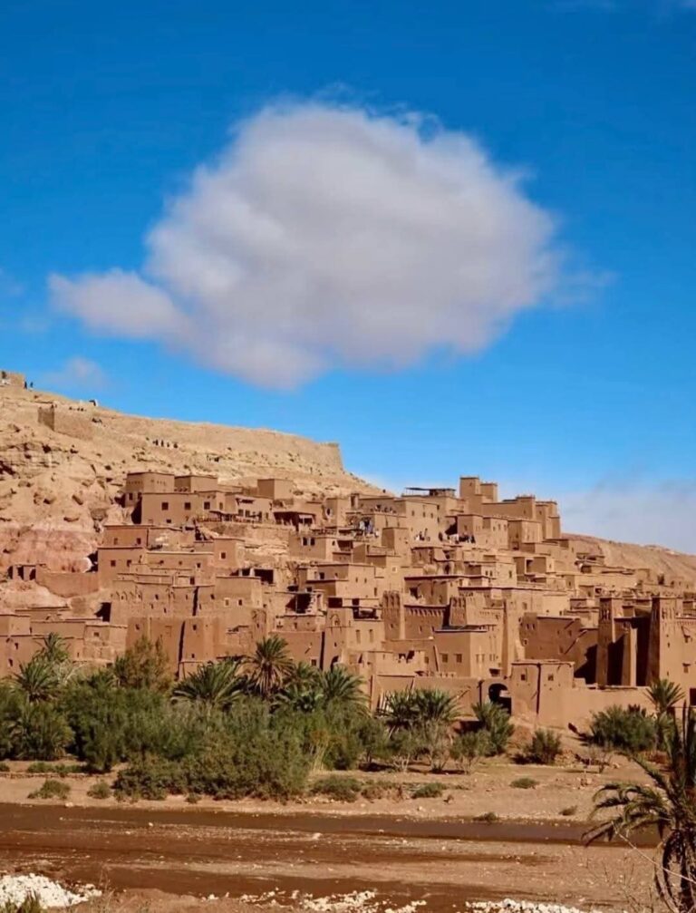 whatsapp image 2026 02 13 at 21.05.01 (1)